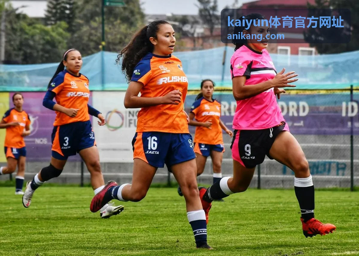kaiyun体育官方网址入口核对示意图